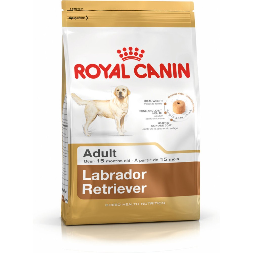 Fodder Royal Canin Labrador Retriever Adult Adult Chicken Rice Birds 12 kg