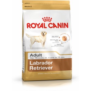 Fodder Royal Canin Labrador Retriever Adult Adult Chicken Rice Birds 12 kg