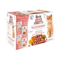 Katzenfutter Brit Huhn Lachsfarben Truthahn Ente 12 x 85 g