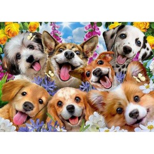 Puzzle Educa Doggy selfie 1000 Pieces