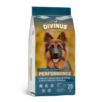 Fodder Divinus Performance Adult Chicken 20 kg