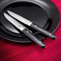 Steakmesser-Set Amefa Fusion zweifarbig Metall 12 Stück 22 x 1,8 x 1,2 cm