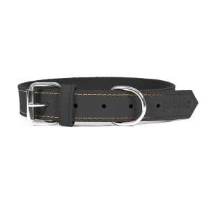 Collier pour Chien Gloria Oasis Noir (1,2 x 35 cm)