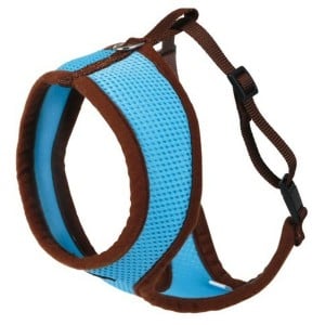 Muzzle Kerbl                                 Blue