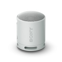 Haut-parleurs bluetooth portables Sony SRSXB100H Gris