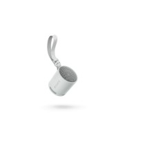 Haut-parleurs bluetooth portables Sony SRSXB100H Gris