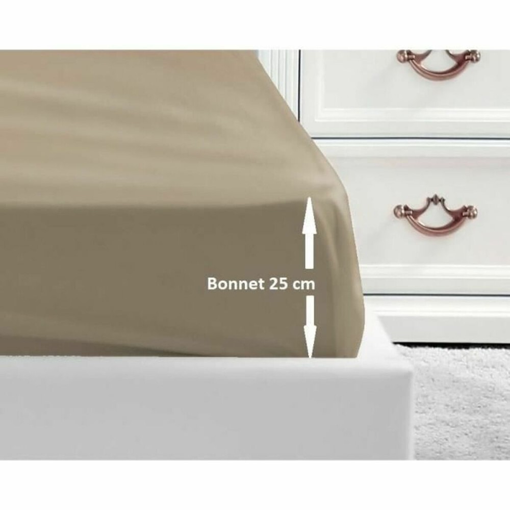 Fitted bottom sheet Lovely Home Beige 160 x 200 cm