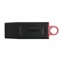 Clé USB Kingston DTX/256GB Noir 256 GB