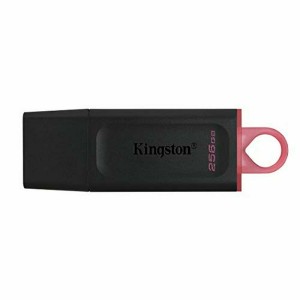 USB Pendrive Kingston DTX/256GB Schwarz 256 GB