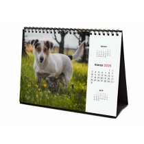 Calendrier de bureau Finocam PERROS Y GATOS Multicouleur Papier 21 x 15 cm 2025