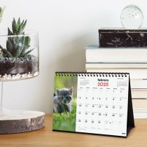 Calendrier de bureau Finocam GATITOS ENTRAÑABLES Multicouleur Papier 21 x 15 cm 2025