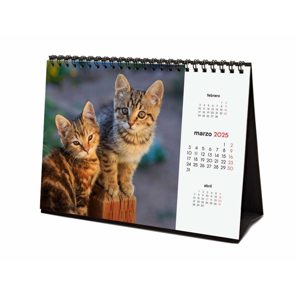 Calendrier de bureau Finocam GATITOS ENTRAÑABLES Multicouleur Papier 21 x 15 cm 2025