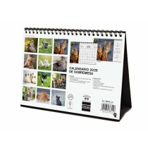 Calendrier de bureau Finocam GATITOS ENTRAÑABLES Multicouleur Papier 21 x 15 cm 2025