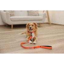 Dog collar Kerbl 80100 Black Orange Printed 45 cm 36 cm