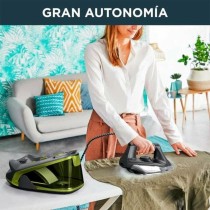 Steam Generating Iron Rowenta 2400 W