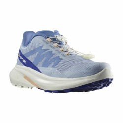 Chaussures de Running pour Adultes Salomon Hypulse Gore-Tex Bleu clair Femme