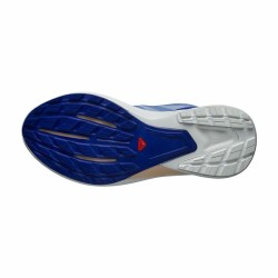 Chaussures de Running pour Adultes Salomon Hypulse Gore-Tex Bleu clair Femme