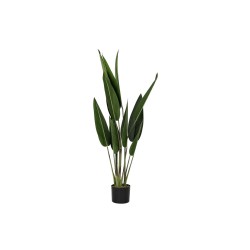 Plante décorative DKD Home Decor 40 x 40 x 115 cm Polyéthylène Vert Oiseaux de paradis Urbaine