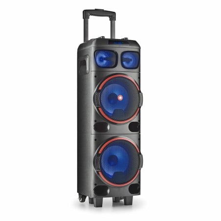 Haut-parleurs NGS WILD DUB 1 Noir 300 W 300W