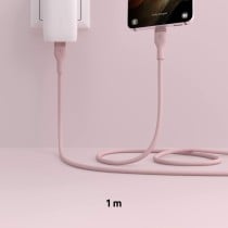 Câble USB-C Belkin CAB009BT1MPK Rose 1 m