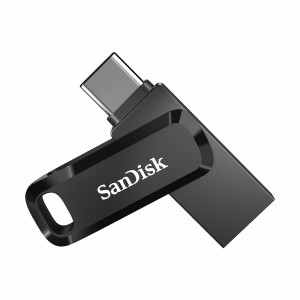 Clé USB SanDisk SDDDC3-256G-G46 Noir 256 GB (1 Unité)