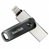 Clé USB SanDisk SDIX60N-256G-GN6NE Gris 256 GB