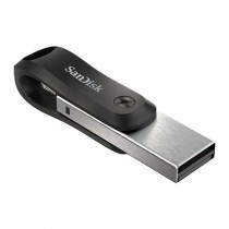 Clé USB SanDisk SDIX60N-256G-GN6NE Gris 256 GB