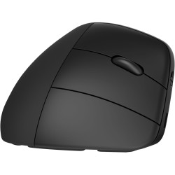 Souris Optique Ergonomique HP 925 Noir