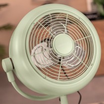 Freestanding Fan Cecotec EnergySilence 250 ClassicStyle Green 25 W