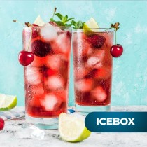 Mini Fridge Cecotec Bolero CoolMarket TT Origin 110 Red 110 L