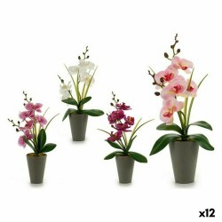 Decorative Plant Ibergarden A18124-33 Plastic Orchid 8 x 35 x 14 cm (12 Units)