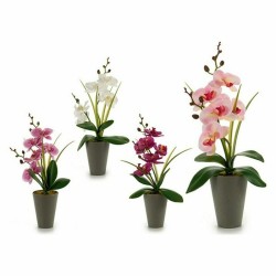 Plante décorative Ibergarden A18124-33 Plastique Orchidée 8 x 35 x 14 cm (12 Unités)