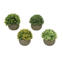 Dekorationspflanze Everlands Ø 12 cm Blumentopf Kunststoff