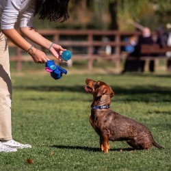 Jouet pour chien Stitch Bleu