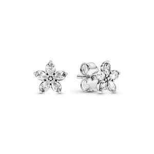 Ladies' Earrings Pandora 299239C01