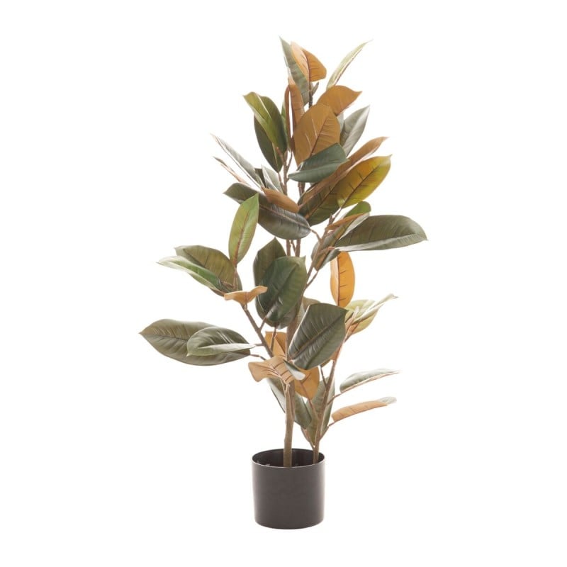 Dekorationspflanze PVC Eisen Ficus 36 x 37 x 90 cm