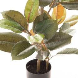 Dekorationspflanze PVC Eisen Ficus 36 x 37 x 90 cm