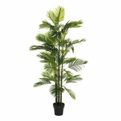 Plante décorative Vert PVC 170 cm Palmier