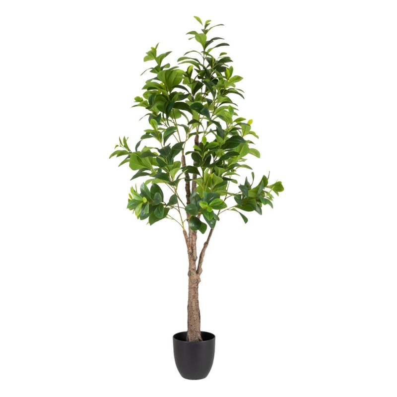 Dekorationspflanze grün PVC 145 cm Peperomia