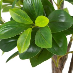 Plante décorative Vert PVC 145 cm Peperomia