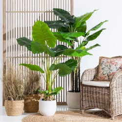 Decorative Plant 80 x 90 x 140 cm Green Philodendron