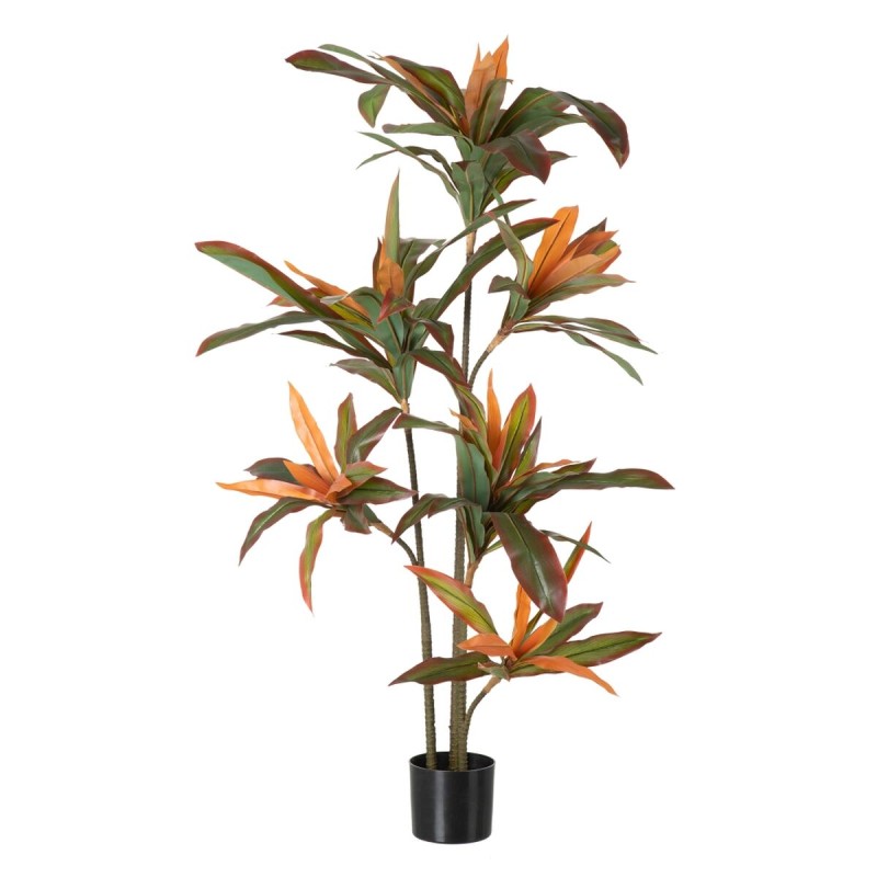 Decorative Plant Dracaena Brown Green PVC 140 cm