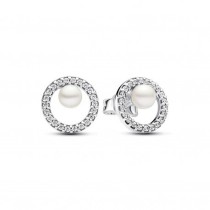 Ladies' Earrings Pandora 293154C01