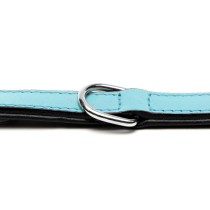 Collier pour Chien Gloria 30 cm Rembourré Cuir Bleu