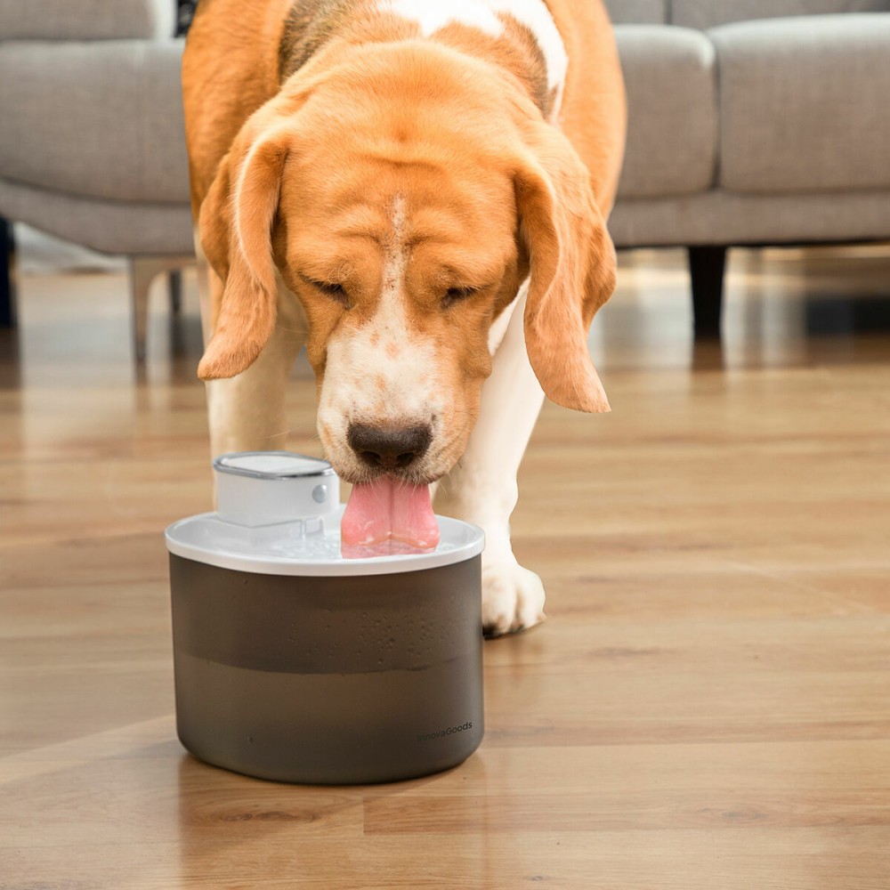 Fontaine pour Chats Rechargeable avec Détecteur Refopet InnovaGoods