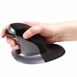 Souris sans-fil Fellowes 9894501 Noir Noir/Argenté