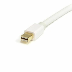 Câble Mini DisplayPort vers DisplayPort Startech MDP2DPMM2MW          (2 m) Blanc 4K Ultra HD