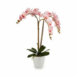 Dekorationspflanze Orchidee Kunststoff 40 x 77 x 35 cm (2 Stück)