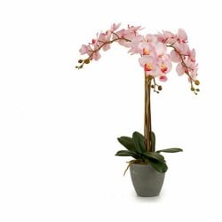 Dekorationspflanze Orchidee Kunststoff 29 x 78 x 35 cm (2 Stück)