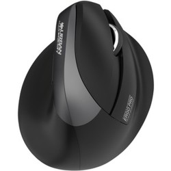 Wireless Mouse Urban Factory ERGO PRO 4000 dpi Black